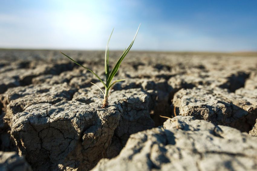 October 24th, International Day Against Climate Change