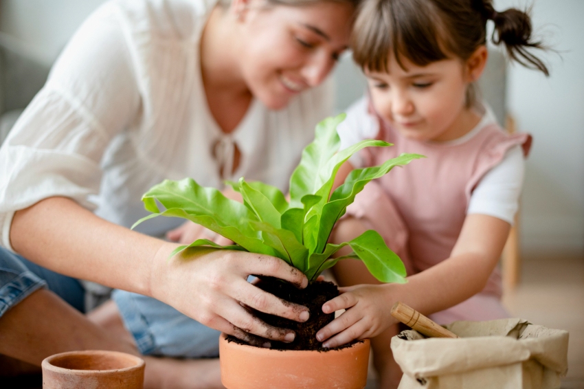 26 de enero, Día Mundial de la Educación Ambiental