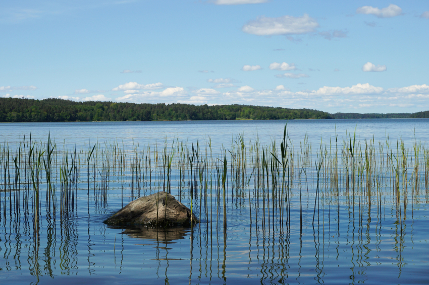 27 de agosto, Día Mundial de los Lagos