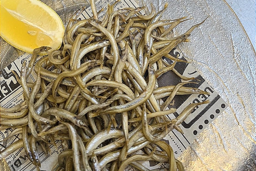 Cap de setmana del Sonso de lEstartit