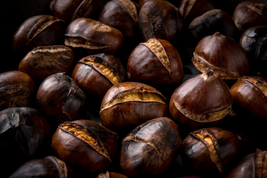 Castanyada a Vallgorguina