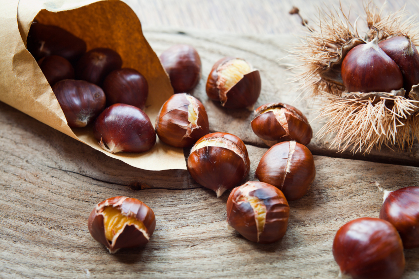 Chestnut Barri Antic de Valls