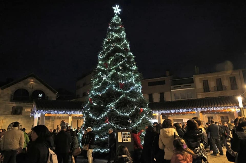 Encesa de l'arbre i llums de Nadal a Sant Hilari Sacalm