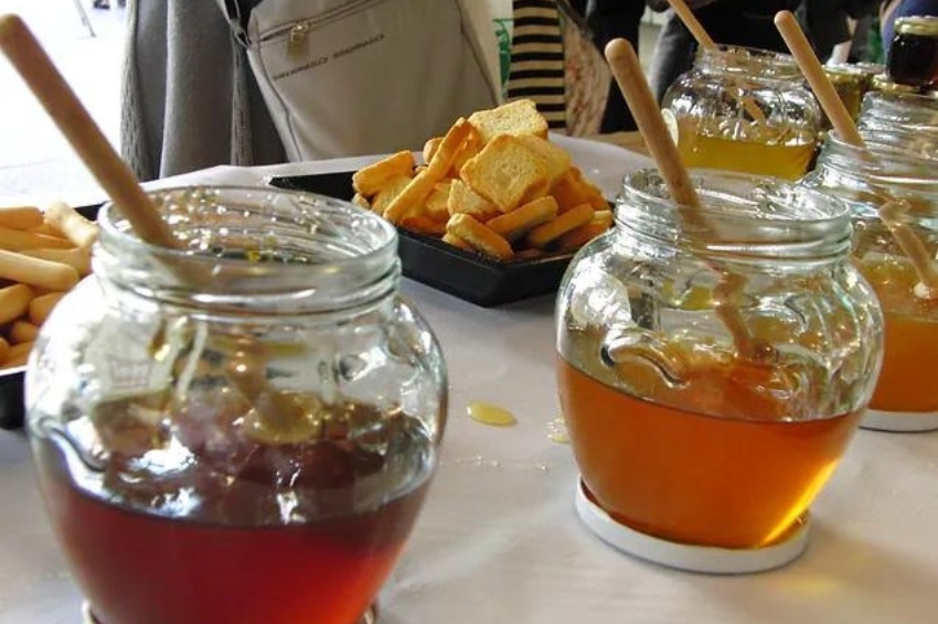 Festa de la mel a Ribes de Freser