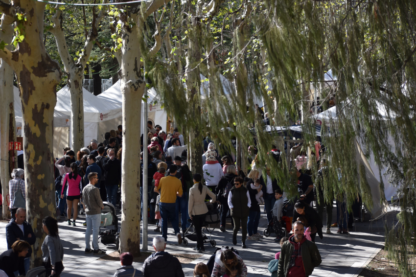 Fiesta del Otoño en Les Masies de Voltregà