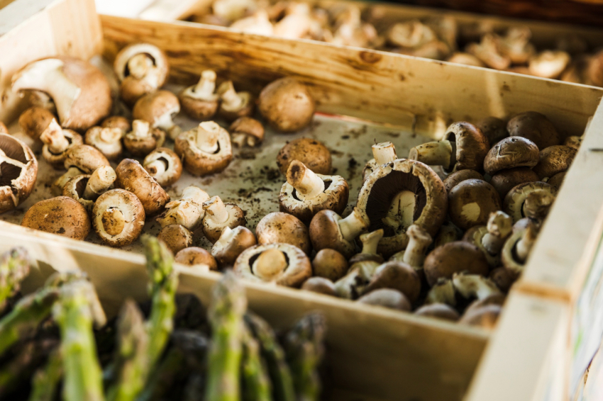 Mushroom Festival in Guardiola de Berguedà