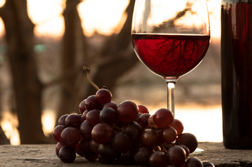 Fira de Vins, Territori Sauló a Sant Cebrià de Vallalta