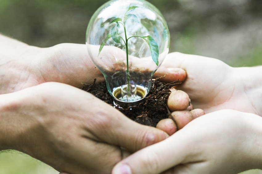 Environmental Fair in Tàrrega