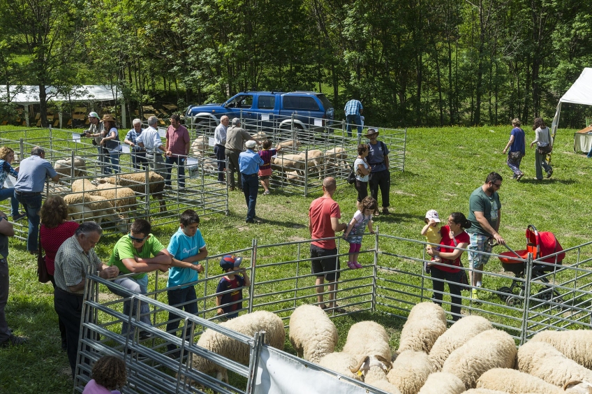 Foire des produits du parc naturel de l'Alt Pirineu et du mouton aranais