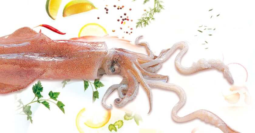 Gastronomic days of the Squid of Arenys. Calamarenys