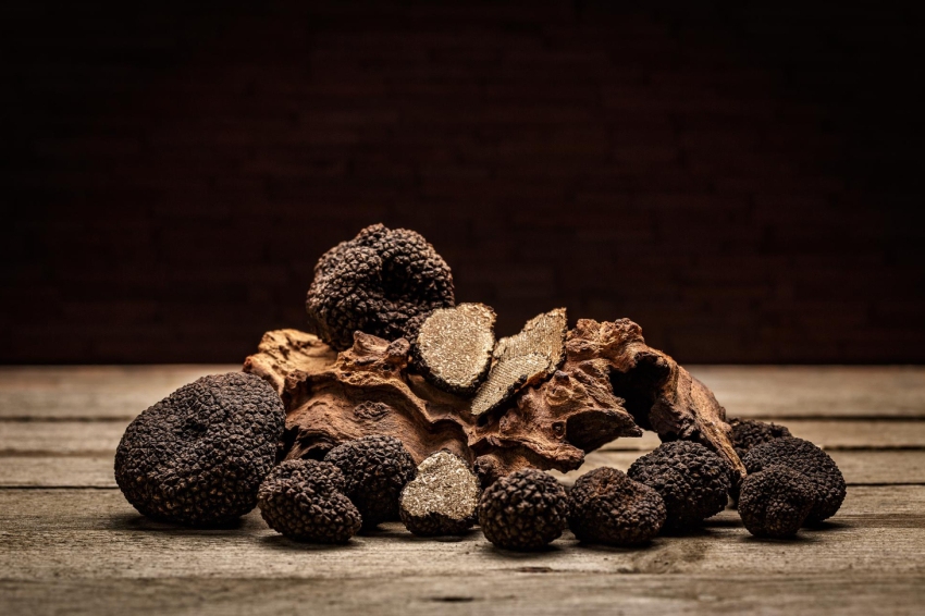 Cuisine de gibier et de truffes au Berguedà