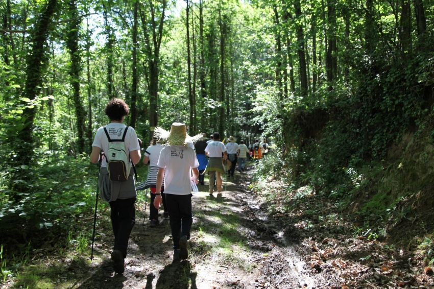 Marcha Popular por la Oncoliga en Sant Hilari Sacalm