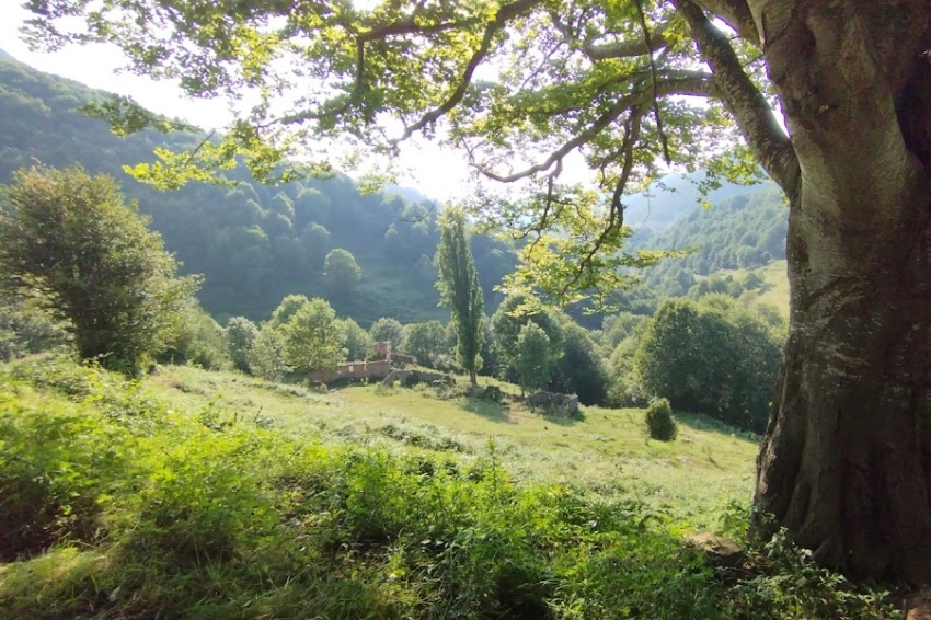 Milanyada à Vallfogona de Ripollès