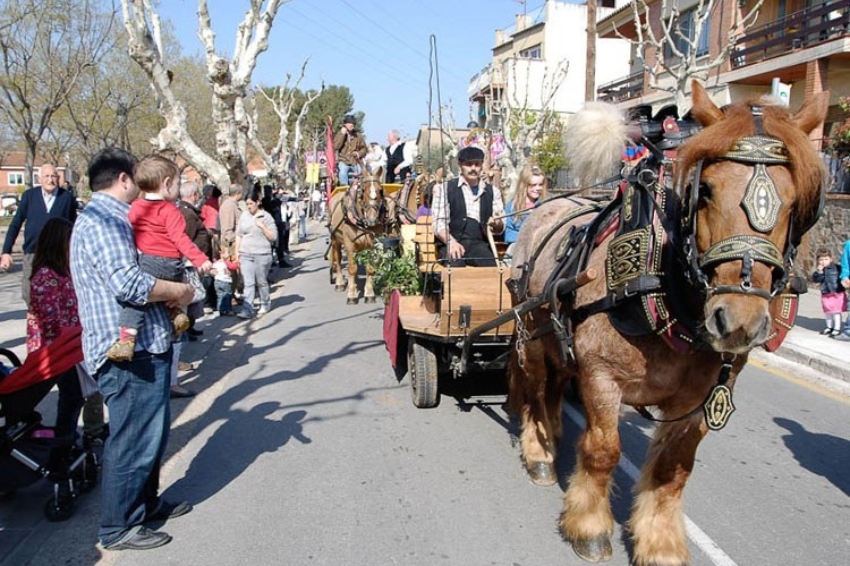 Pase de Sant Antoni en Sant Quirze del Vallès