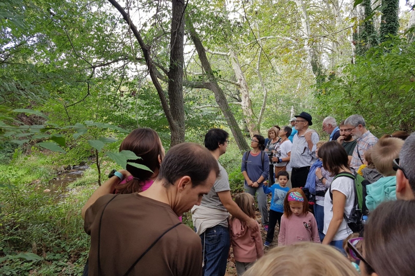 Semana del bosque en Sant Celoni