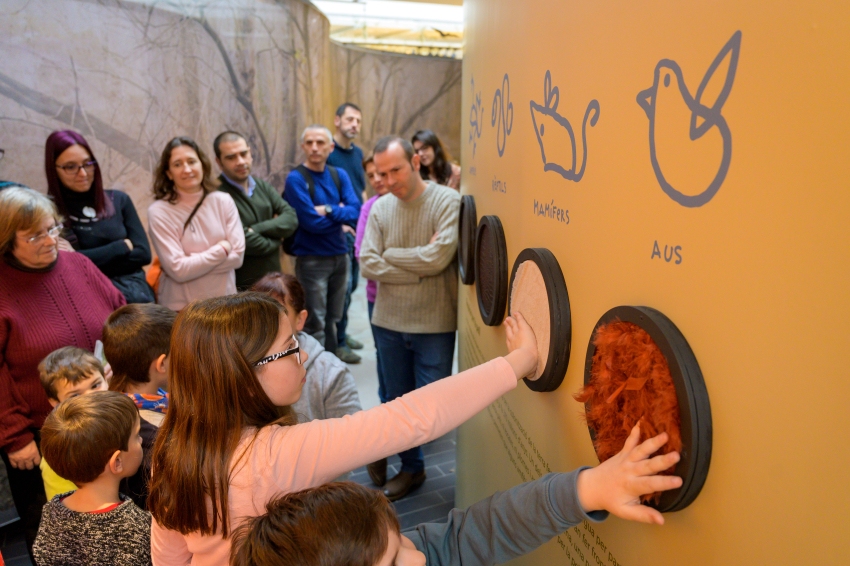 Visite guidée de l'exposition: 