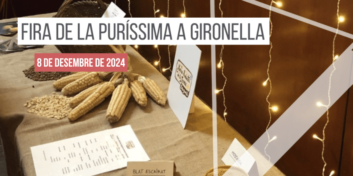 fira-purissima-gironella