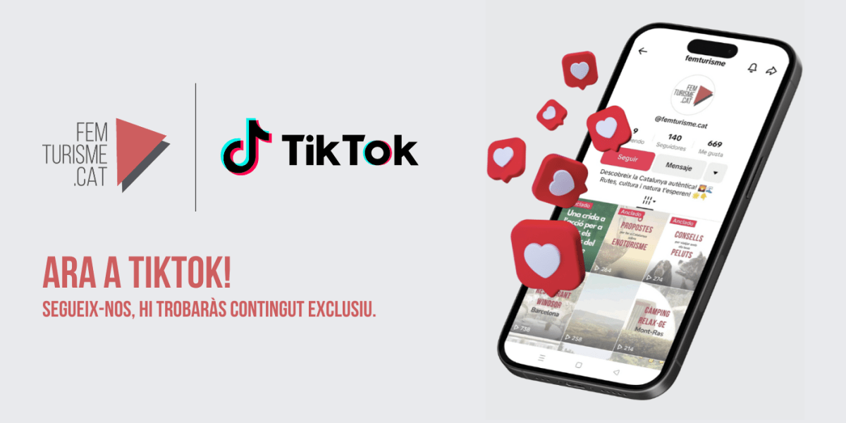 tiktok-banner-femturisme