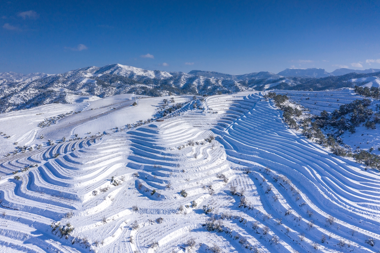 Turisme Priorat (Aerial Views Of Priorat Vineyards And Gratallops Village Snowy In Winter After A Heavy Snowfall Priorat Tarragona Catalonia Spain_028)