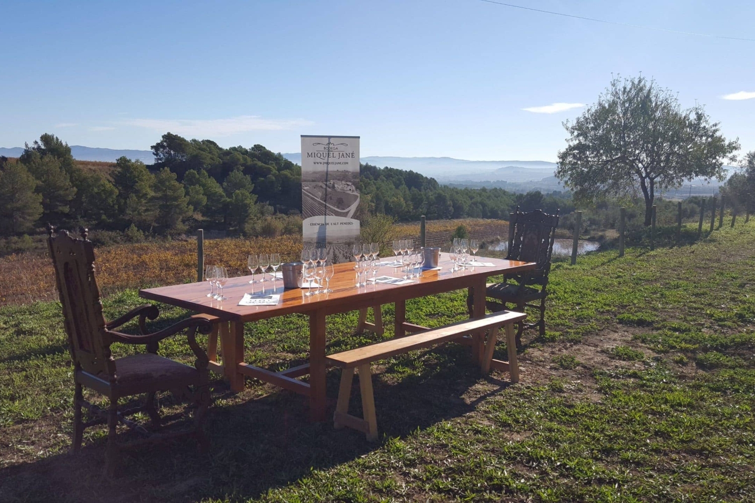 Bodega Miquel Jané