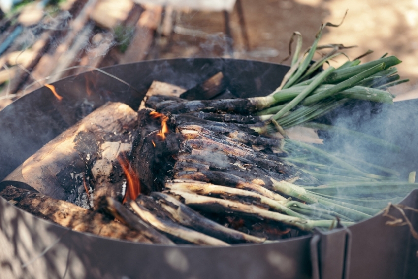 Calçotadas de Catalogne