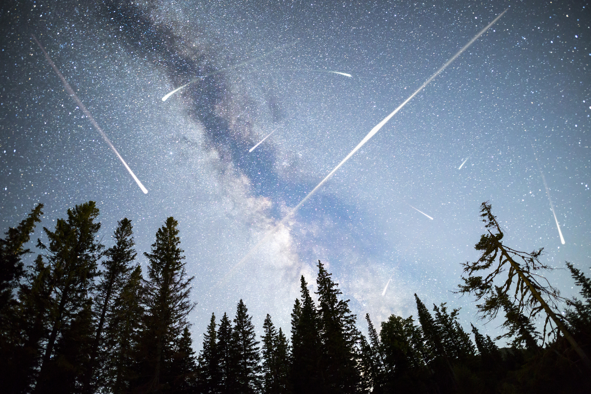 Perseids