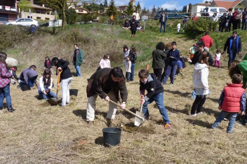 Festival des arbres de Viladrau