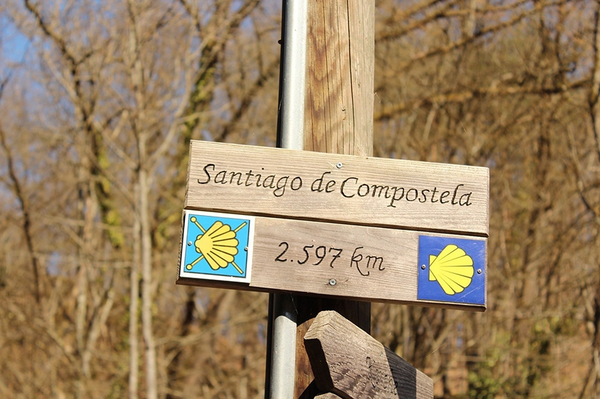 Tips for discovering the Camino de Santiago by bicycle
