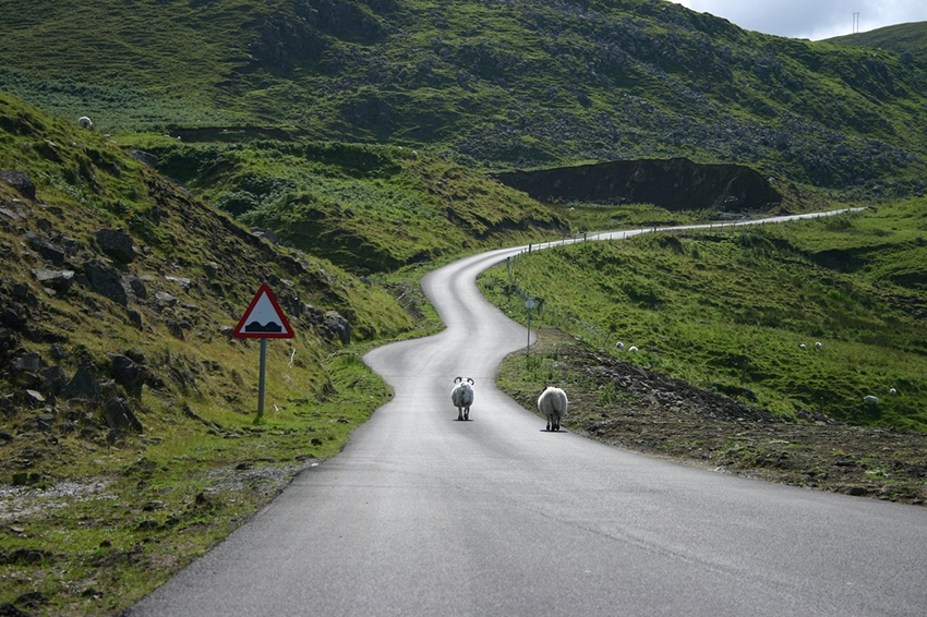 D'Edimburg a les Terres Altes: Una Ruta Completa per Escòcia amb cotxe