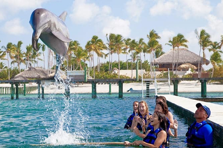 Excursions for this summer in Punta Cana
