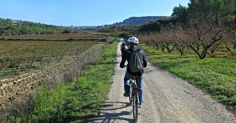 Sorteig: Guanya un una visita en bicicleta i un tast de vins