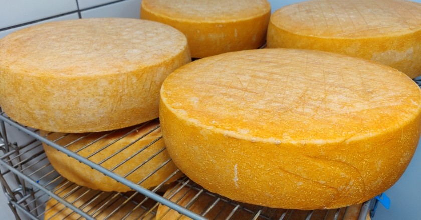 Three award-winning cheese factories that we can not miss Llobregat above