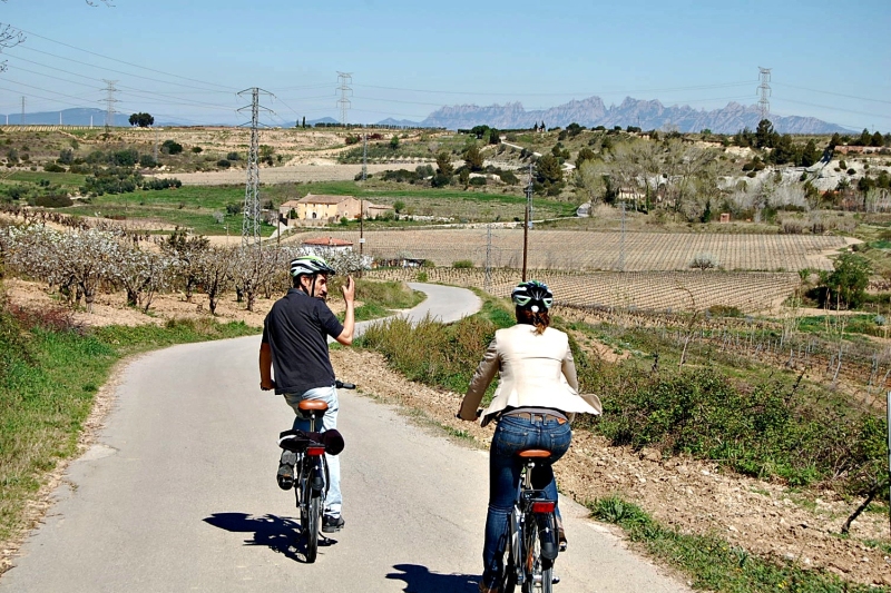Come and do adventure wine tourism at the Miquel Jané Winery! (Bicis 1 .)