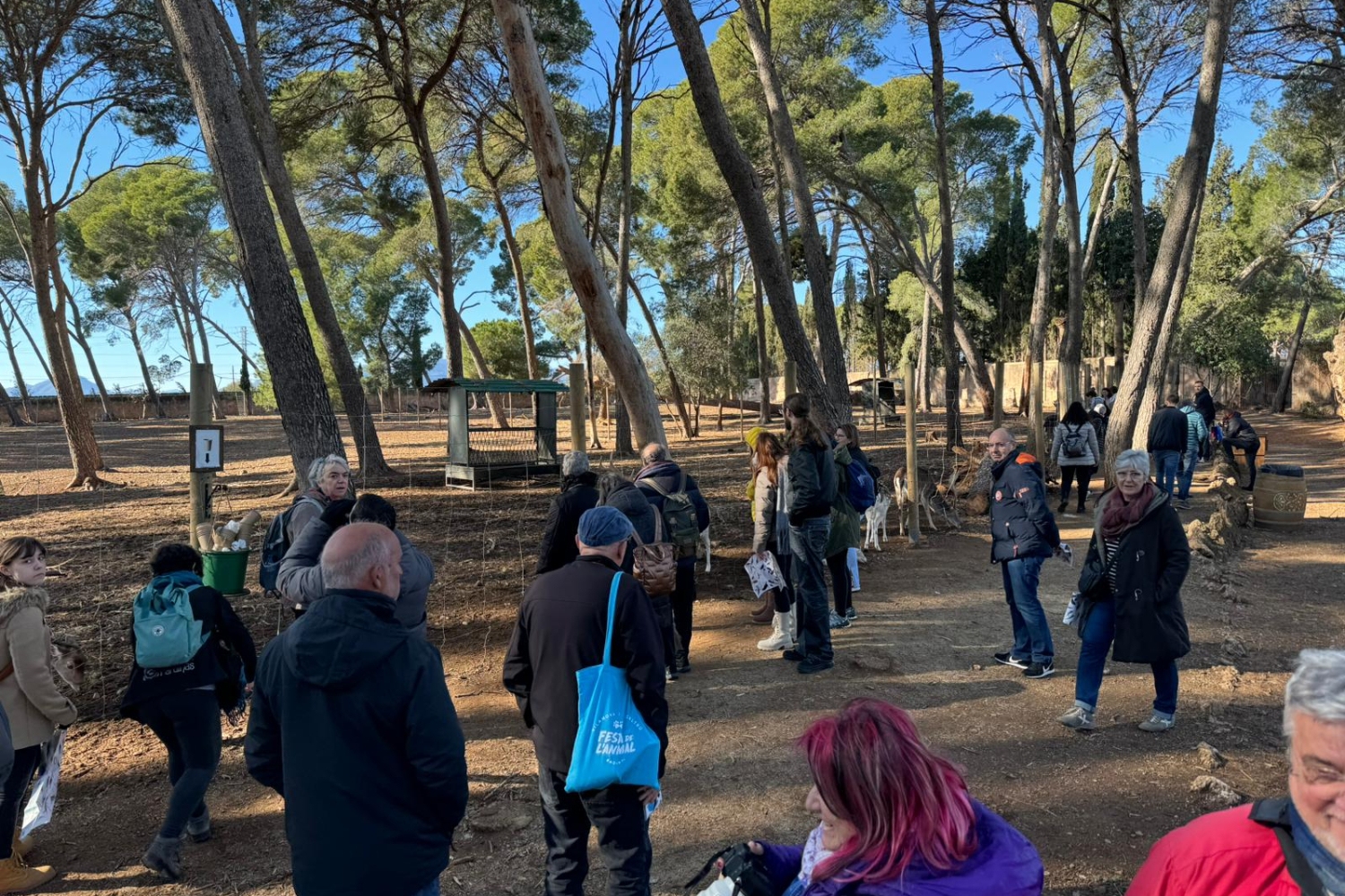 Sorties ornithologiques au Parc Samà les 19 et 26 janvier 2025 (Visita Ornitologica2)