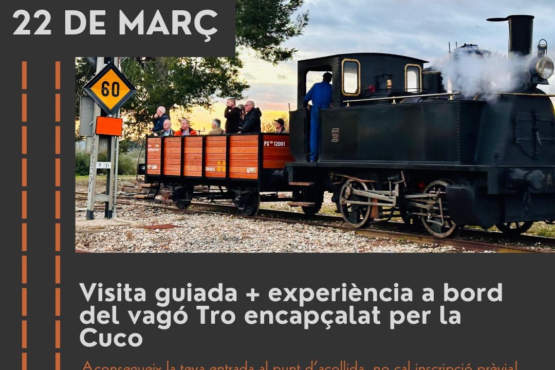 Experience the thrill of a ride in a wagon powered by the Cuco steam locomotive! (Cuco Tro)