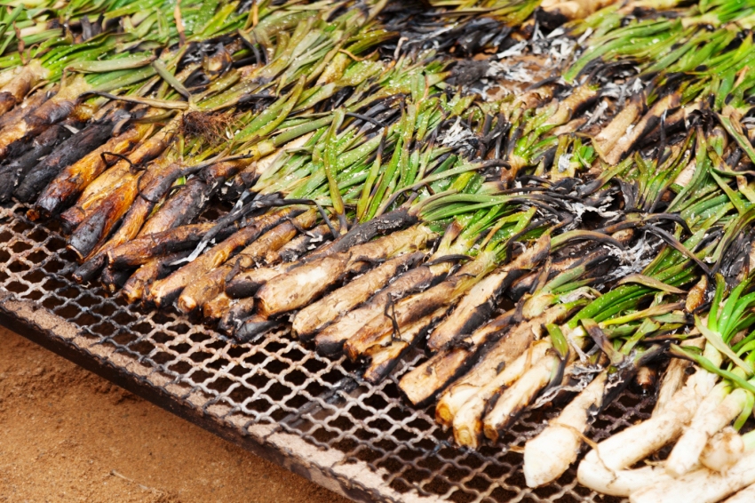 Visita y cata de cava con Calçotada en la Bleda, Cava Rovellats