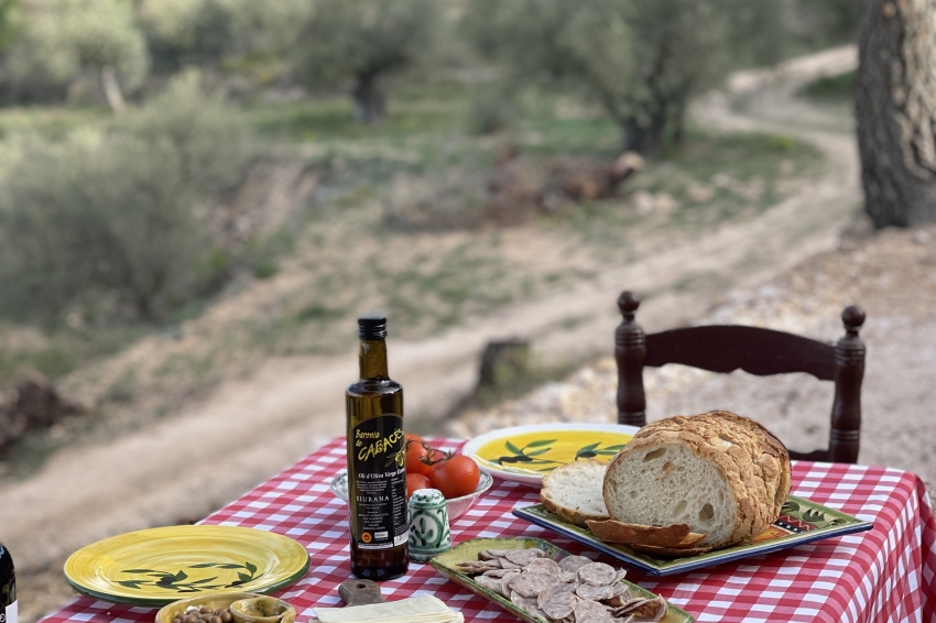 Esmorzar de pagès i tast d'olis entre oliveres a la Cooperativa de Cabacés