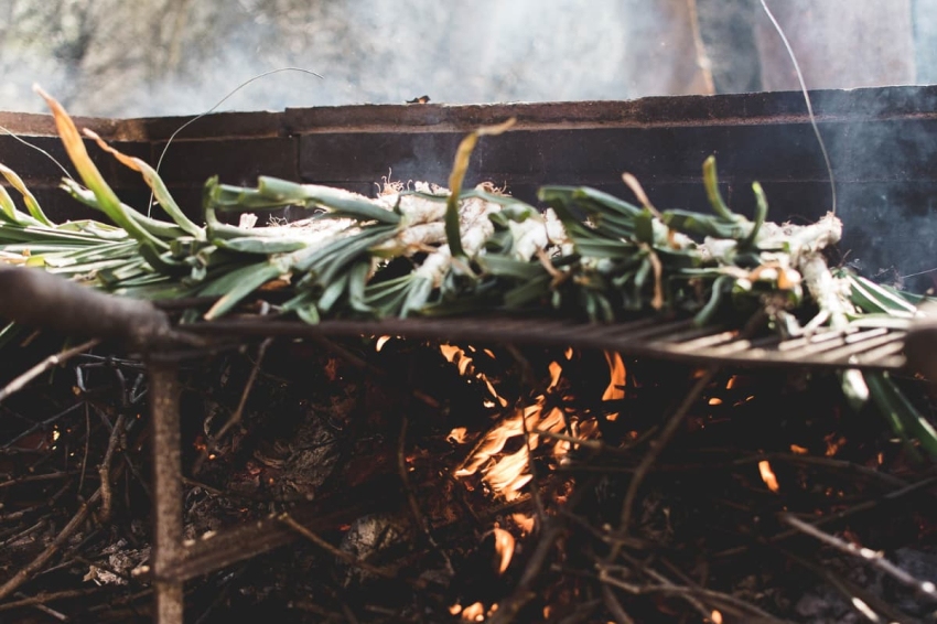 Calçotada and wine pairing at Celler Can Roda