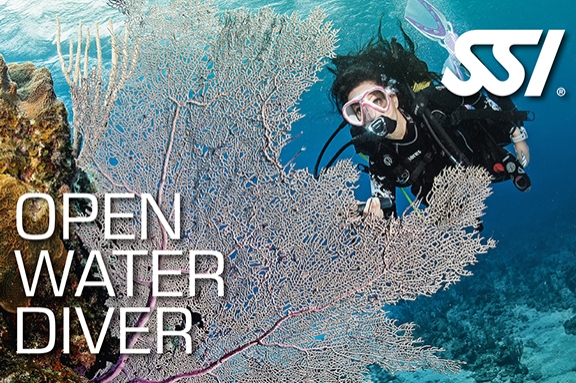 Open Water Diver Course with Triton Diving Llafranc