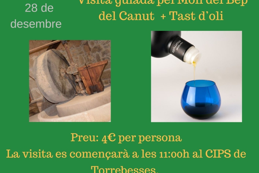 Visita guiada al Molino de Bep del Canut + Cata de aceite en Torrebesses