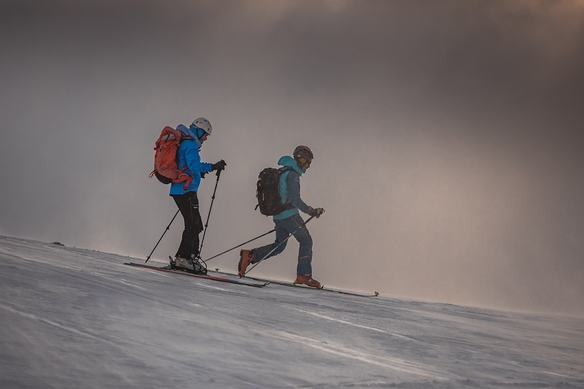 Activitats i experiències al Ripollès