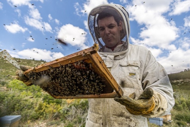 Among flowers with Xavi Branchat and Anna Vilà - Family beekeeping workshop