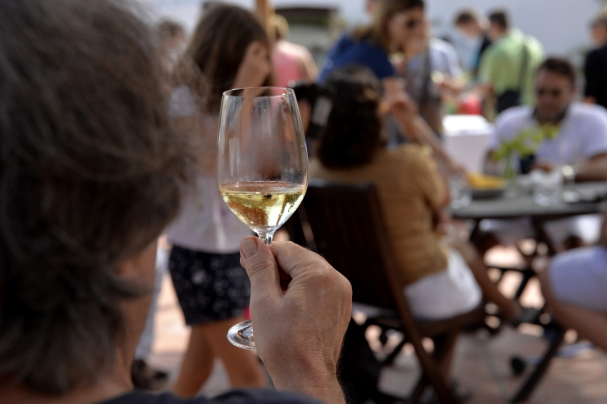 Visite et dégustation avec apéritif aux Bodegas Sumarroca