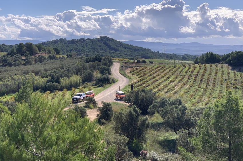 Open-top 4x4 tour and wine tasting with Stress & Adrenaline