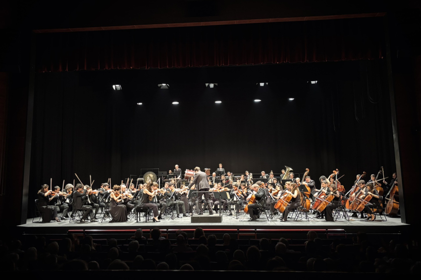 Franz Schubert Philharmonic with TGNA Llúria 11 Apartments