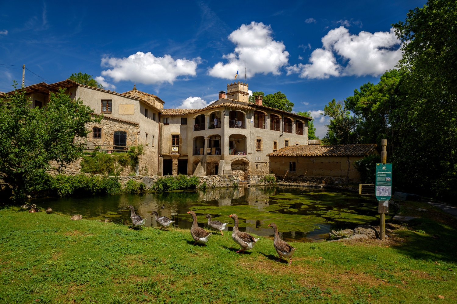 Centelles (Llavina Mill In Centelles With Some Ducks And Geese Osona Barcelona Catalonia Spain_053)