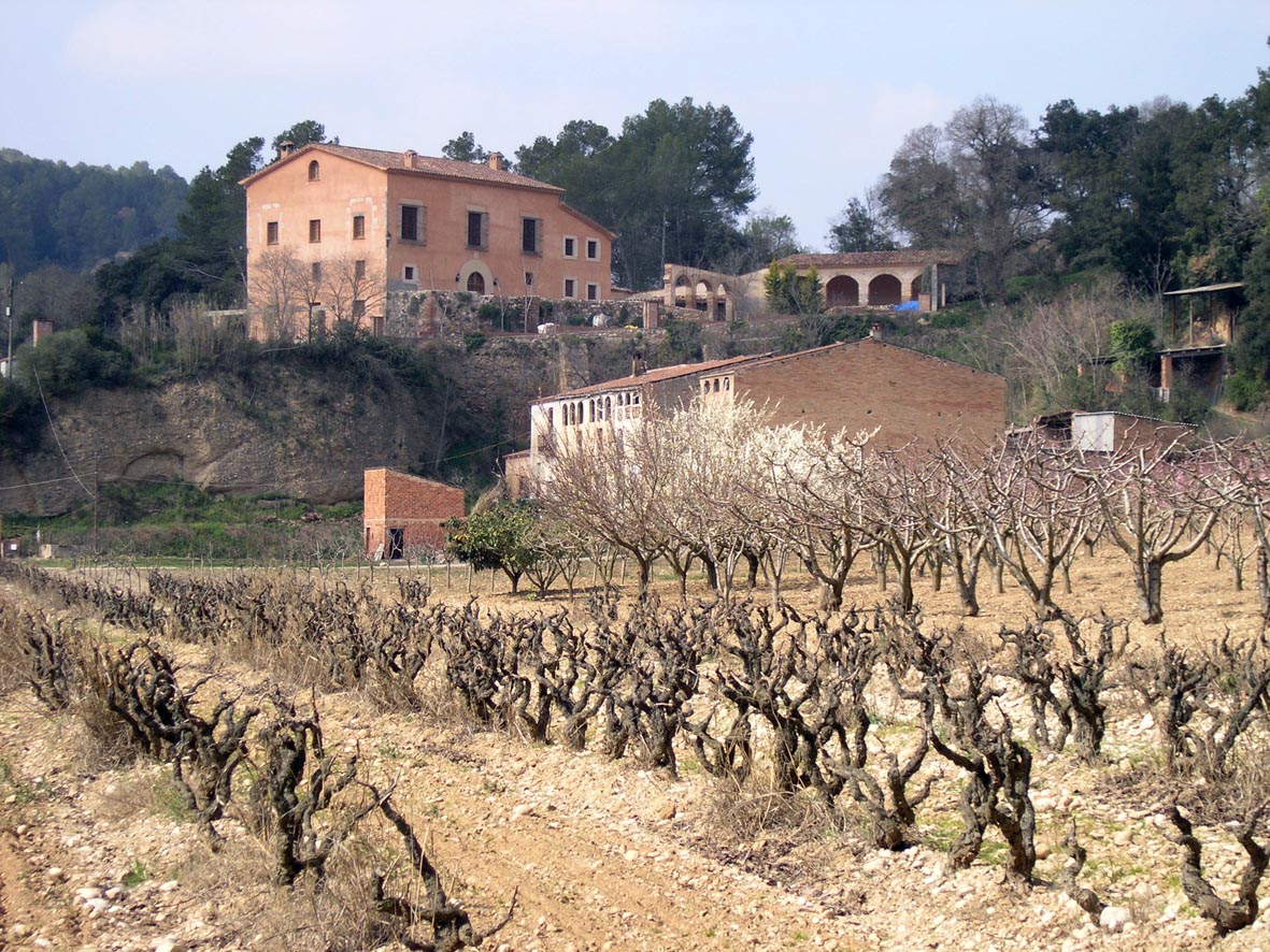 La Academia de los Desconfiados (Torre Pierola)