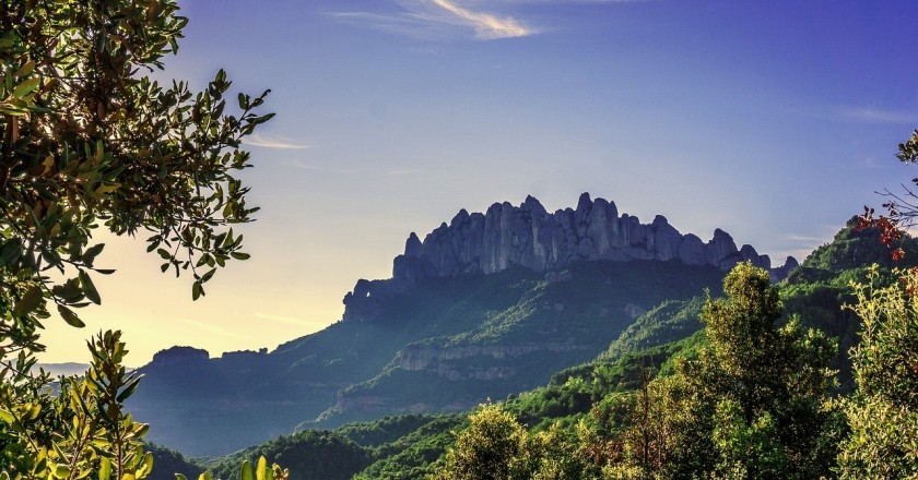 El Camí Ignasià