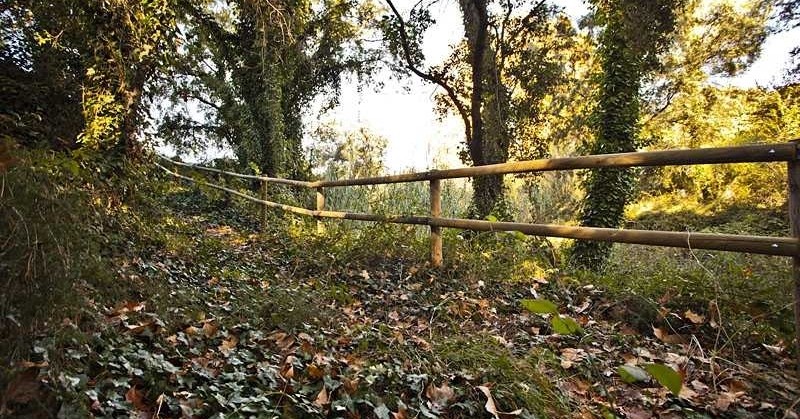 La Sanabra i el fondo de Sant Llorenç