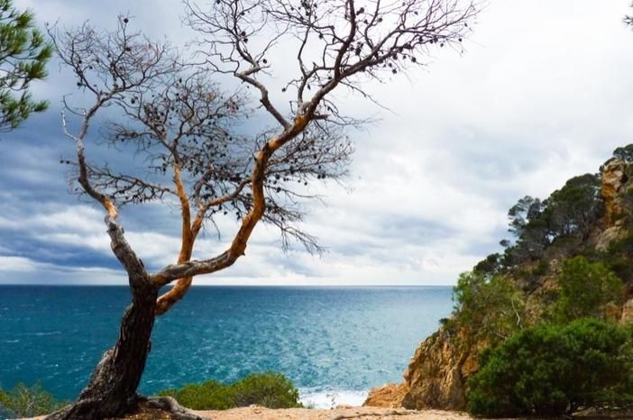 Circular route through Cala La Pola in Tossa de Mar